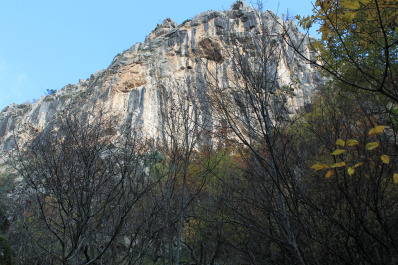 photo 231868