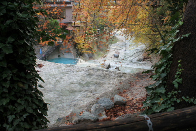 photo 231874