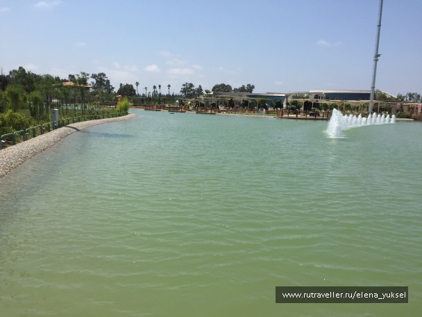 photo 1326002