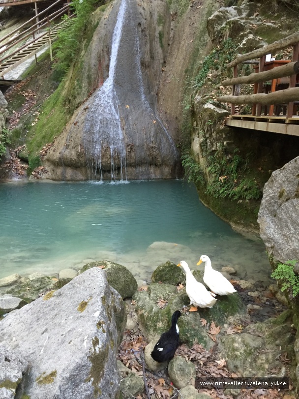 photo 1375675