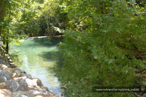 photo 458654