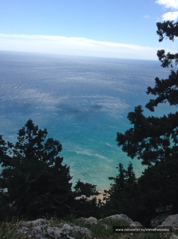 photo 1015983