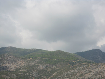 photo 171636