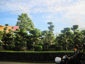photo 144598