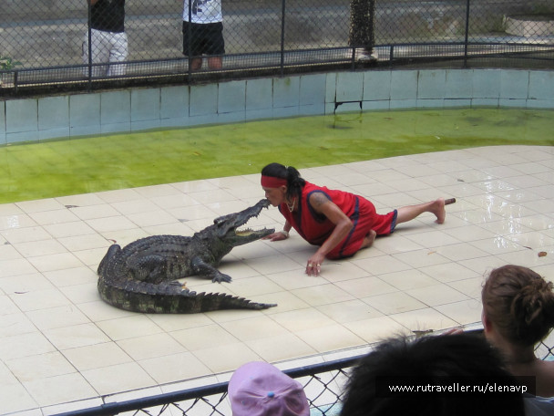photo 151458
