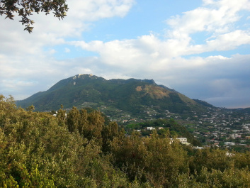 photo 544697