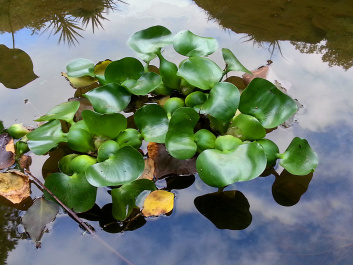 photo 545565