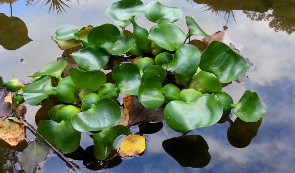 20130927_021337