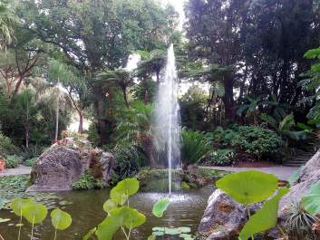 photo 545567