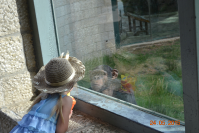 photo 1171481
