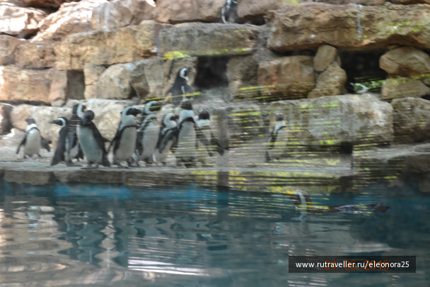 photo 1171483