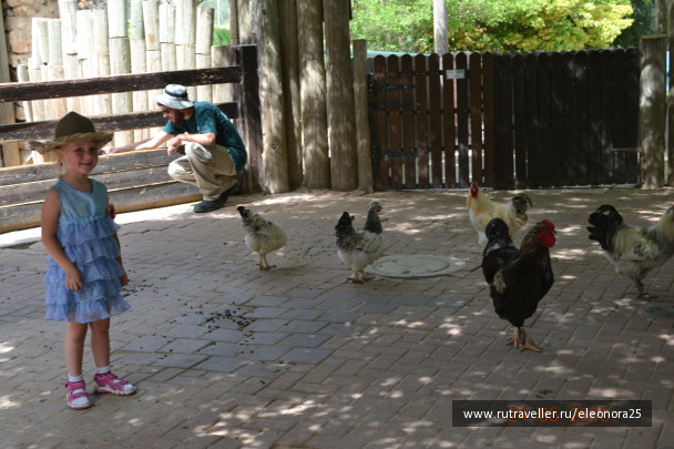 photo 1171487