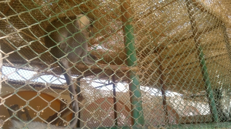 photo 758056