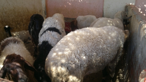 photo 758058
