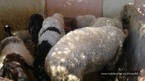 photo 758058