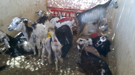 photo 758059