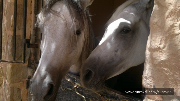 photo 758067