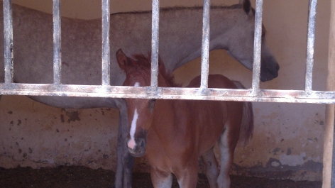 photo 758069
