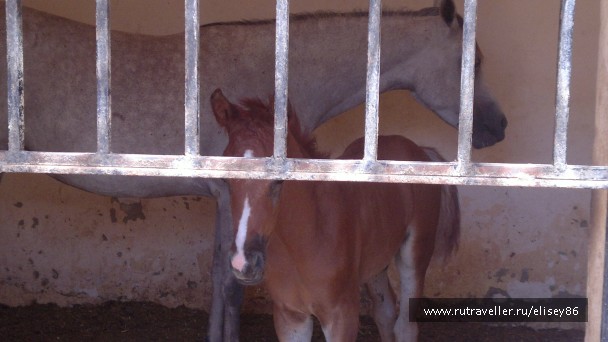 photo 758069