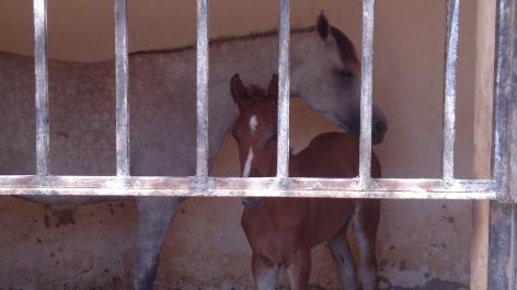 photo 758070