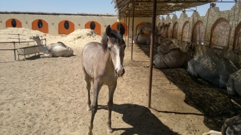 photo 758073