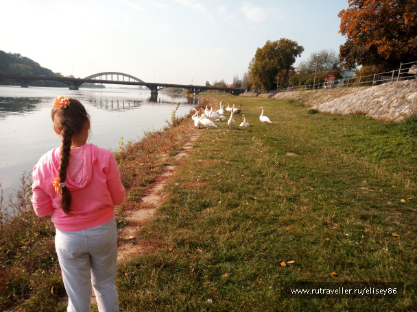 photo 1691387