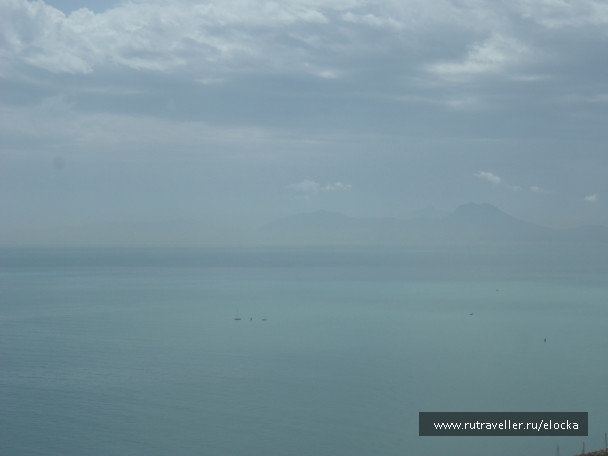 photo 517655