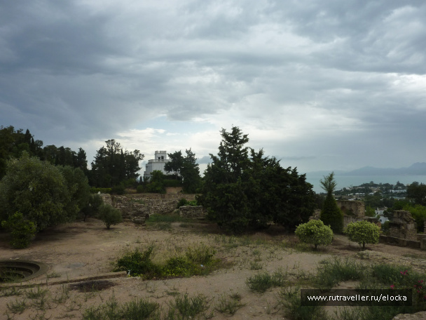 photo 517659