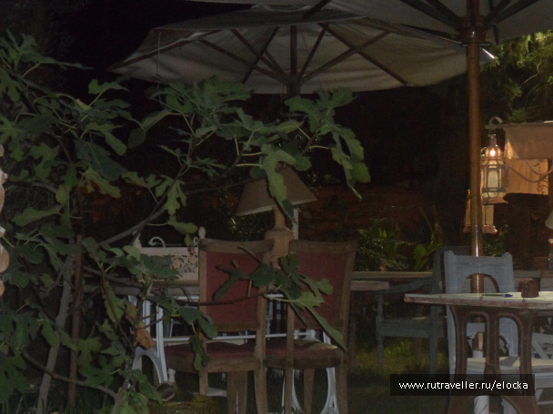 photo 520765