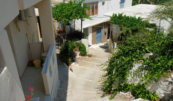 DSC08303