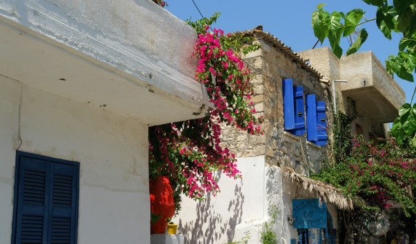 DSC09041