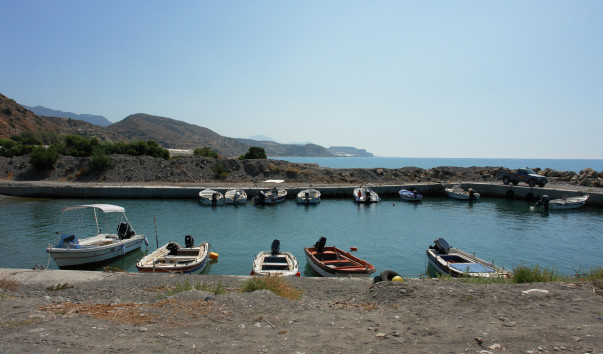 DSC09021