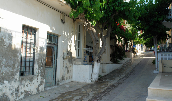 DSC09009