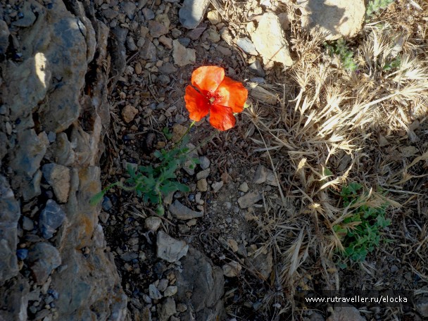 photo 861221