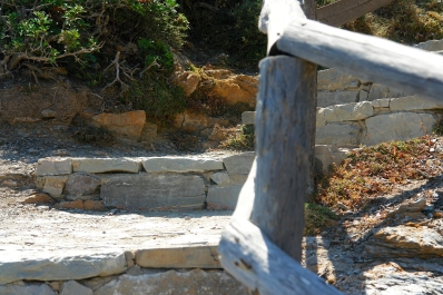 photo 875347