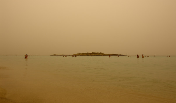 DSC07806