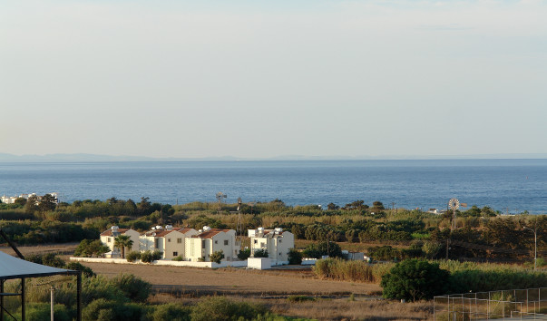 DSC07296