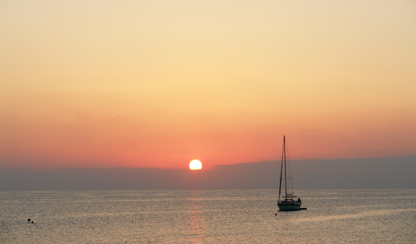 DSC07634
