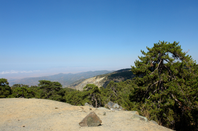 photo 1115938