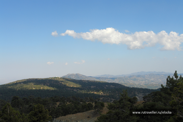 photo 1115940