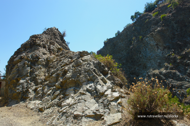 photo 1141545
