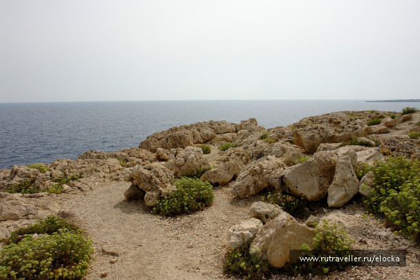 photo 1118552