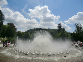photo 424635