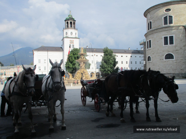 photo 1347893