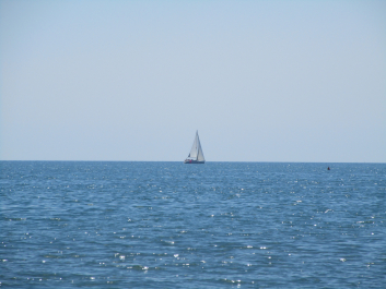 photo 1347860