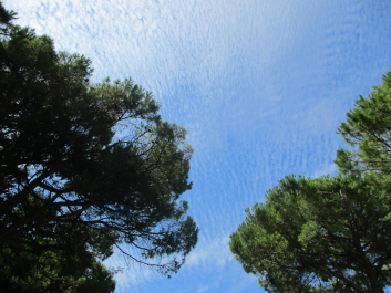 photo 1347861