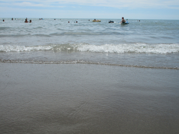 photo 1347864