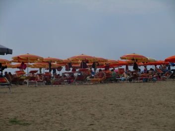 photo 1347868
