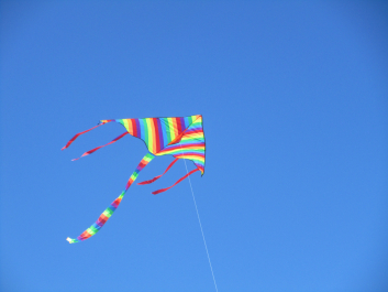 photo 1347876