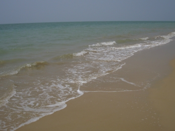 photo 740433